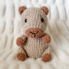 Clara the Capybara Crochet Pattern - Image 9